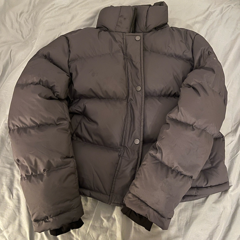 Quince Responsible Down Cropped Puffer Jacket